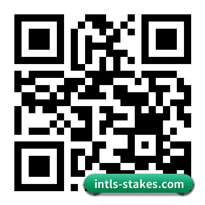 iOS 苹果专属版 二维码(Stake)